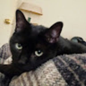 Meet your Posher, Virginia